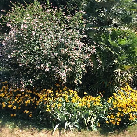 Апартаменты Sabrina 09 By Fewotessin *