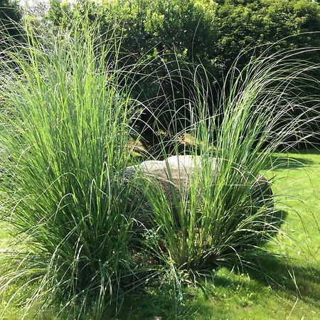 Sabrina 09 By Fewotessin Апартаменты