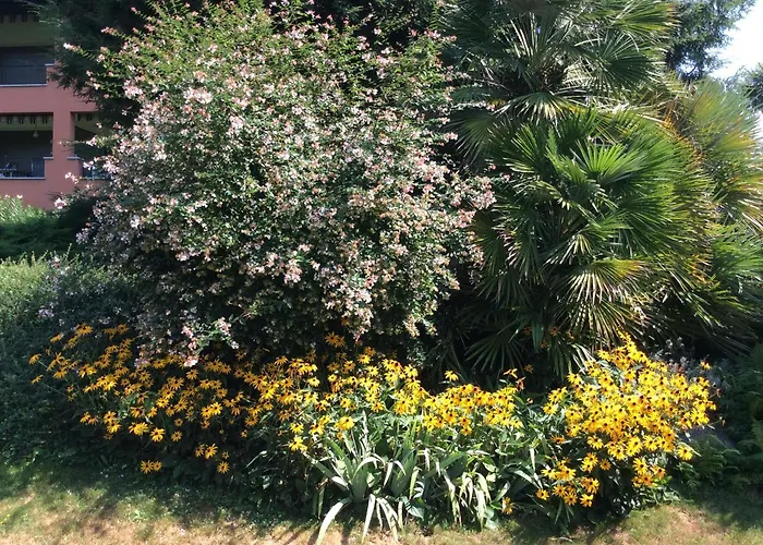 شقة Sabrina 09 By Fewotessin *