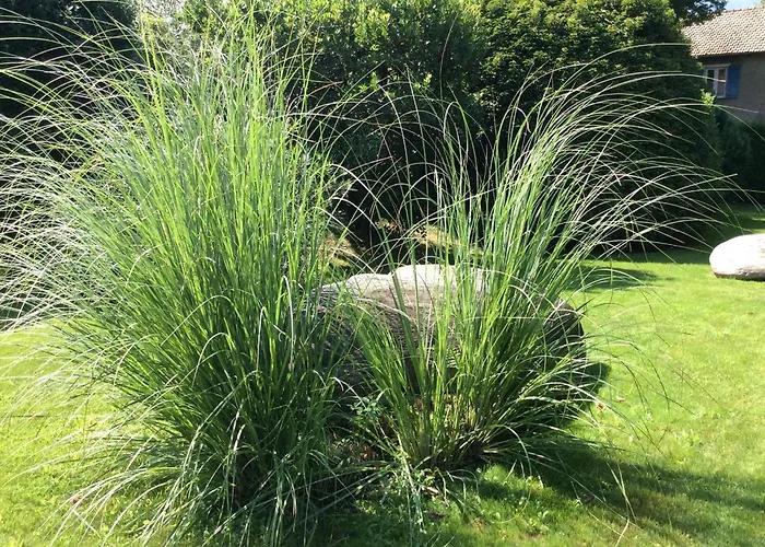 Sabrina 09 By Fewotessin 아파트